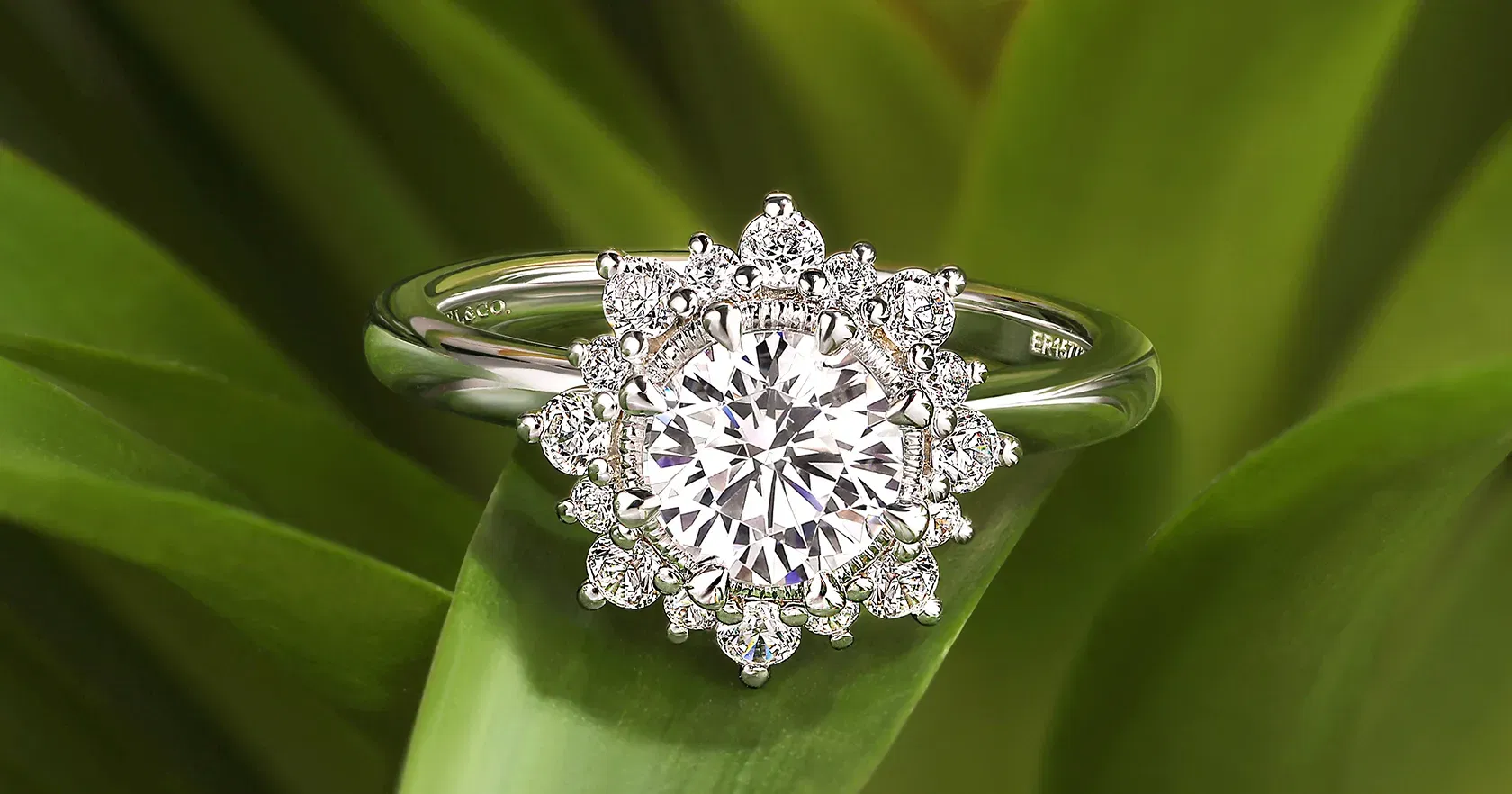 Who Should Buy a White Gold Engagement Ring?