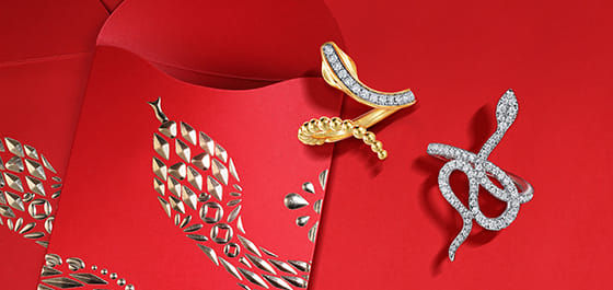 Snake Jewelry
